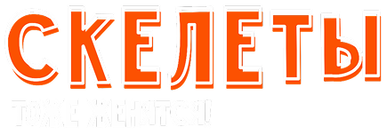 Новогодняя программа